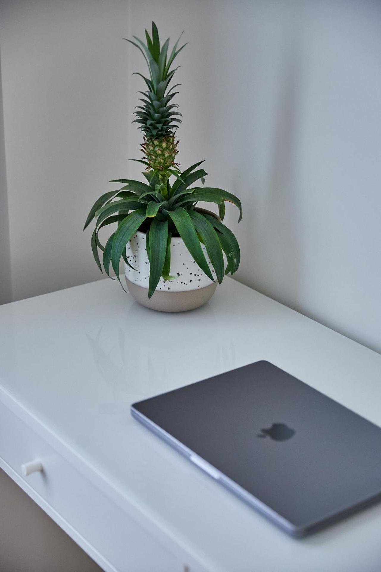 Urban Chic Apartment In The Heart Of Arrondissement di Malines Esterno foto